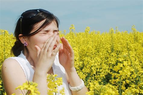 bahar alerjisi için hangi doktora gidilir